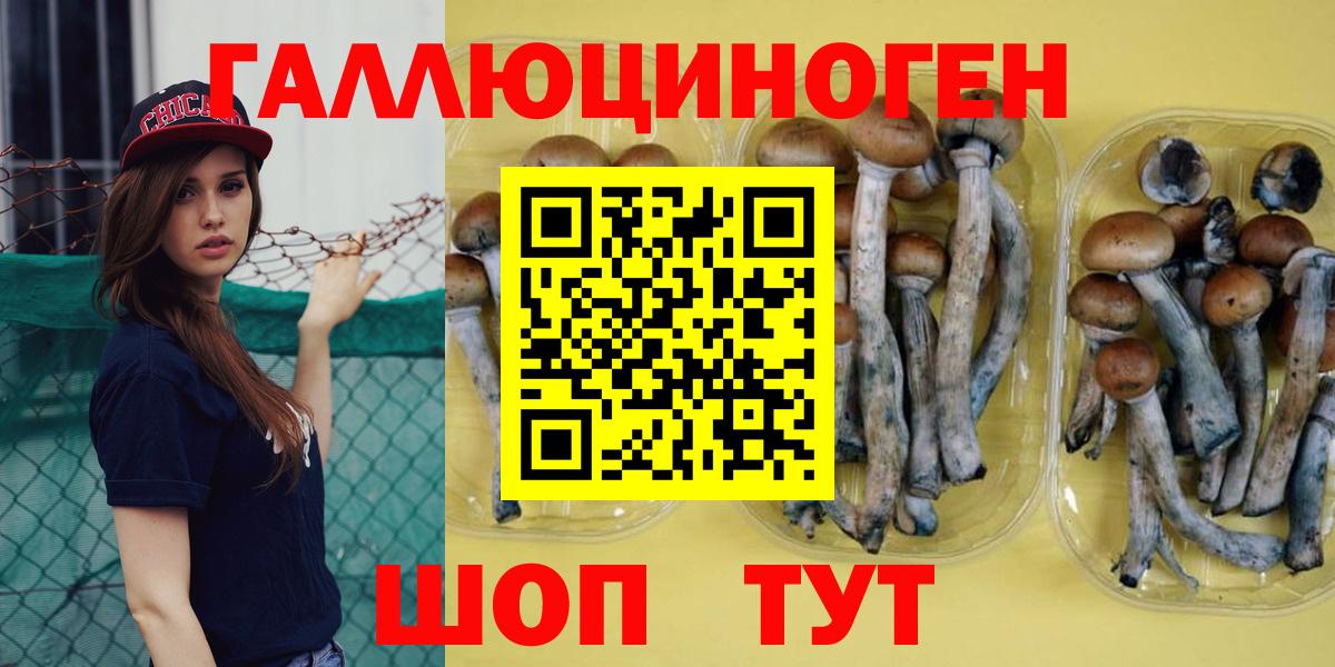 Псилоцибиновые грибы Psilocybe  Вход с VPN  Тавда 