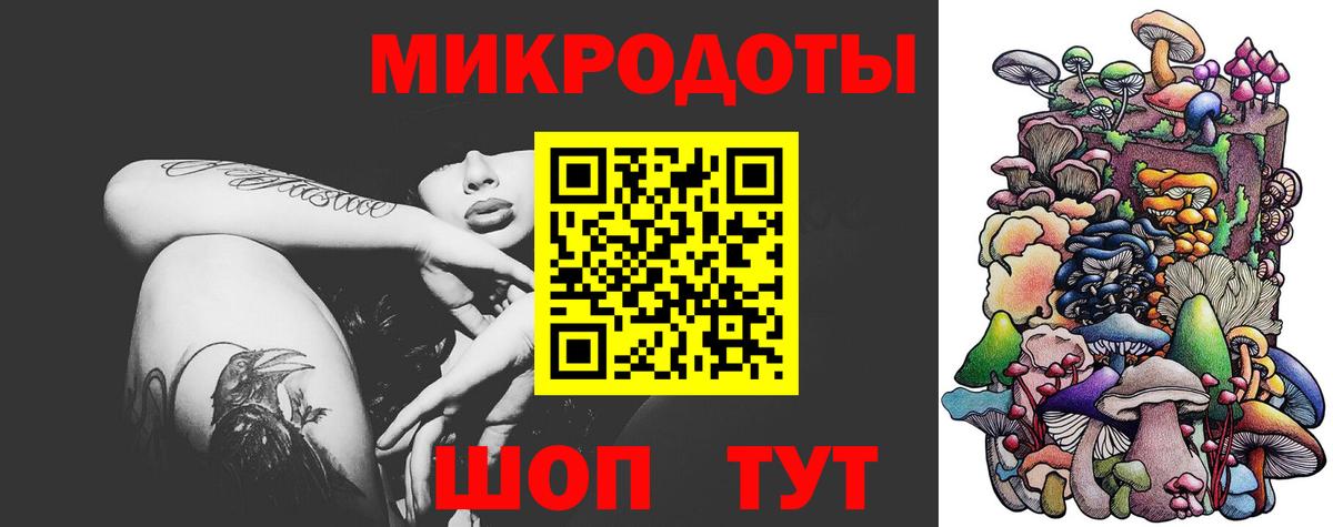 Галлюциногенные грибы Cubensis Тавда